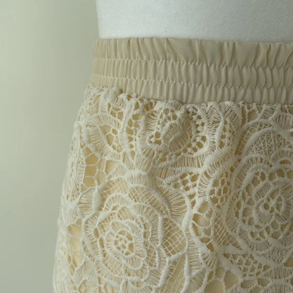 Chicwish Rose Cutwork Lace Maxi Skirt - Picture 5 of 5